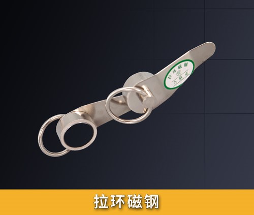 拉環(huán)磁鋼
